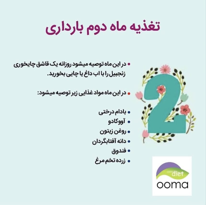 تغذیه در ماه های بارداری