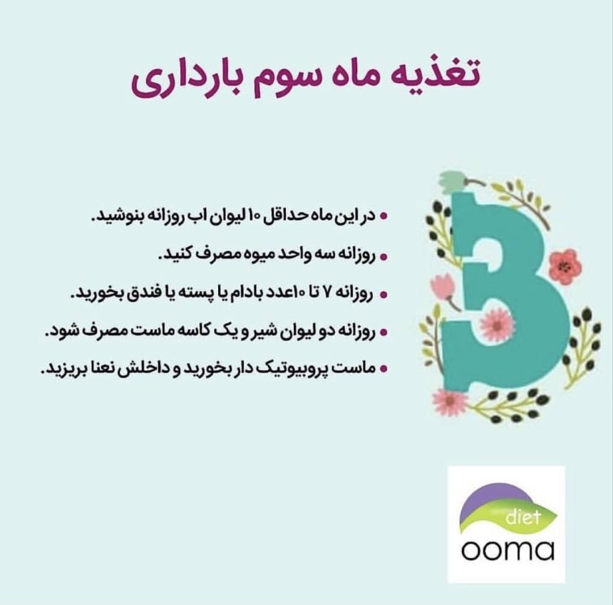 تغذیه در ماه های بارداری