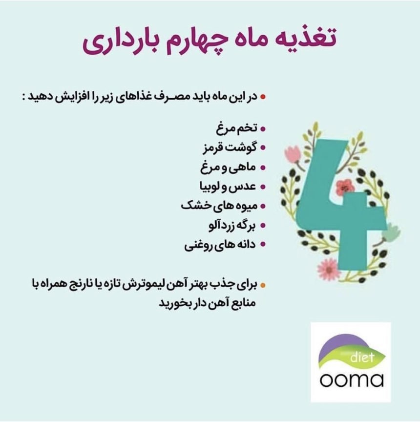 تغذیه در ماه های بارداری