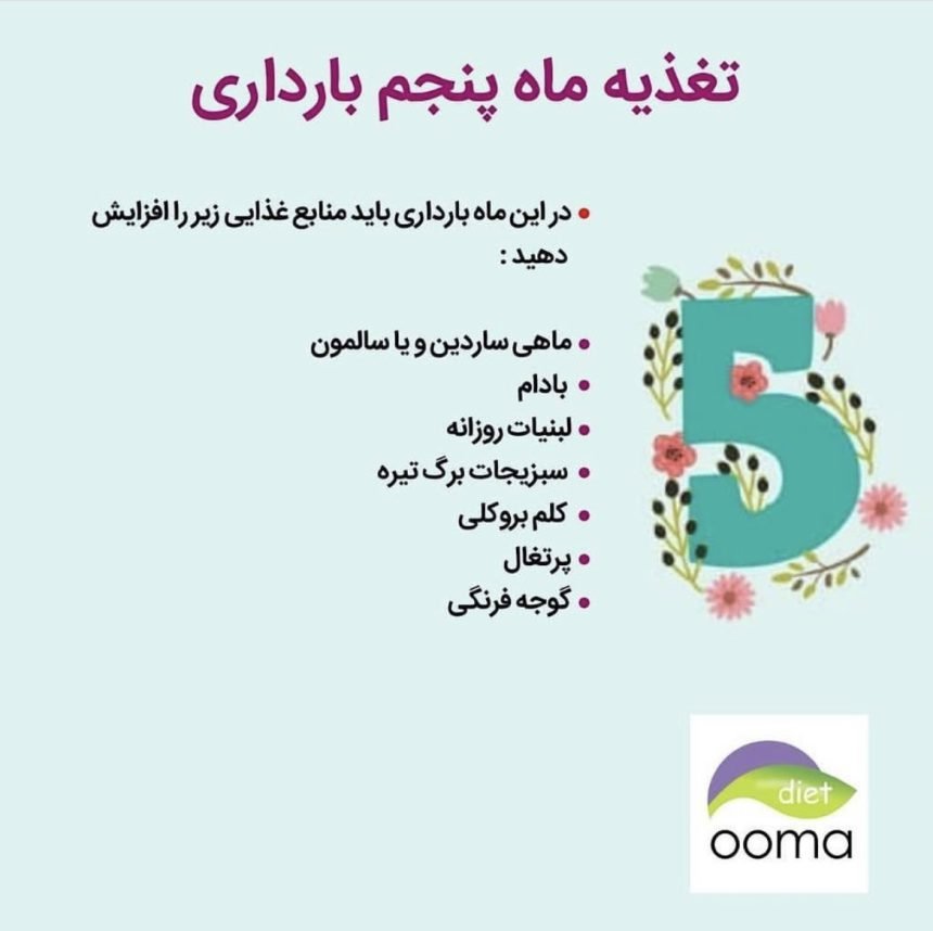 تغذیه در ماه های بارداری