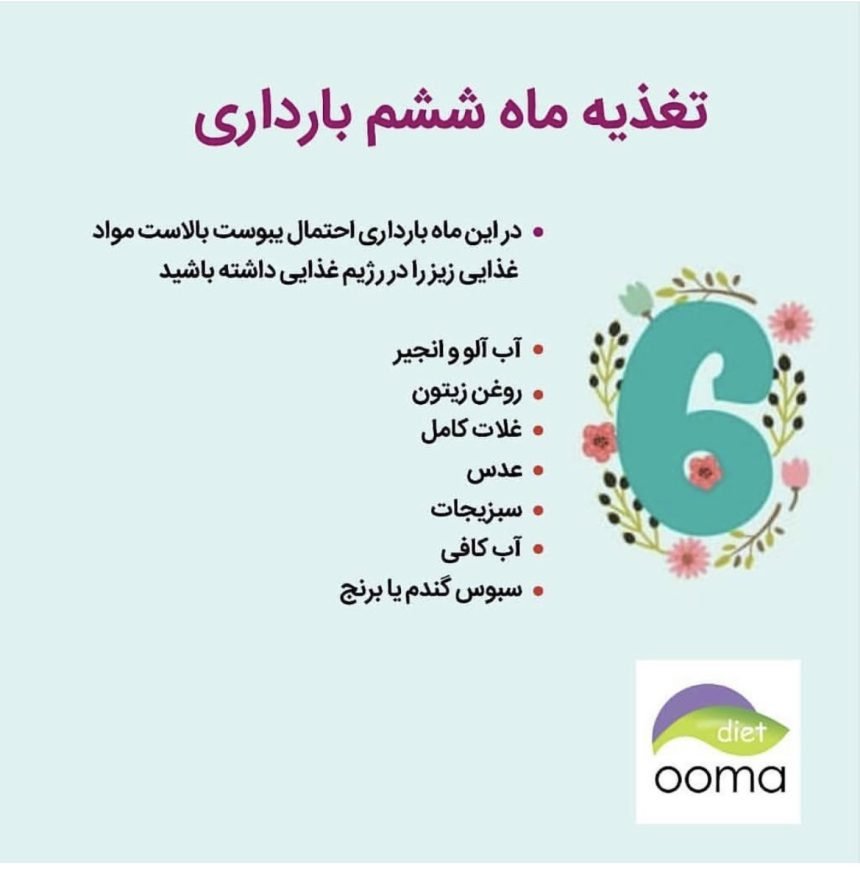 تغذیه در ماه های بارداری