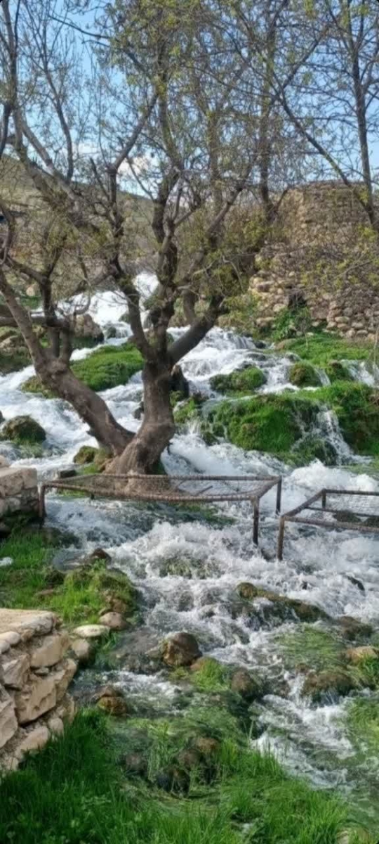 اینم طبیعت شهرمون اینم طبیعت شهرمون