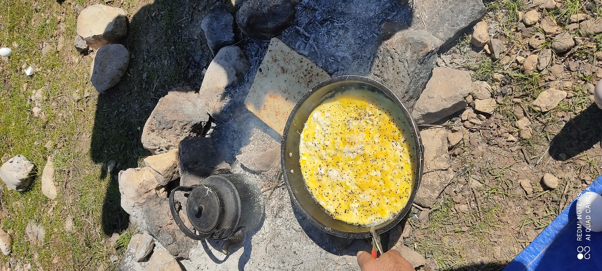 درود دوستان سیزده بدر کجا رفتین عکس بفرستین درود دوستان سیزده بدر کجا رفتین عکس بفرستین