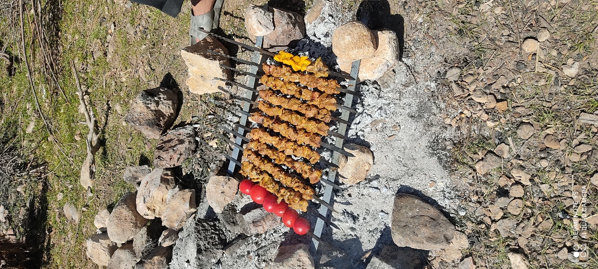 درود دوستان سیزده بدر کجا رفتین عکس بفرستین درود دوستان سیزده بدر کجا رفتین عکس بفرستین