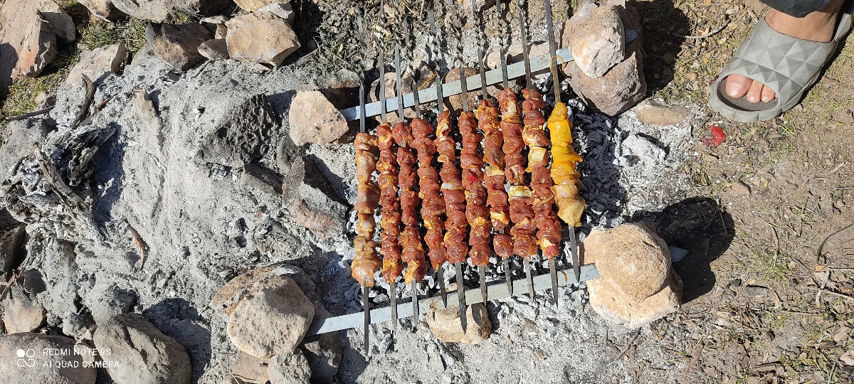 درود دوستان سیزده بدر کجا رفتین عکس بفرستین درود دوستان سیزده بدر کجا رفتین عکس بفرستین