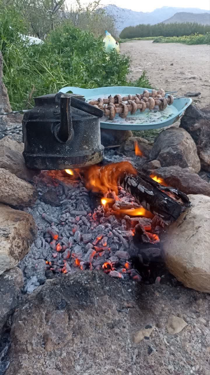 درود دوستان سیزده بدر کجا رفتین عکس بفرستین درود دوستان سیزده بدر کجا رفتین عکس بفرستین
