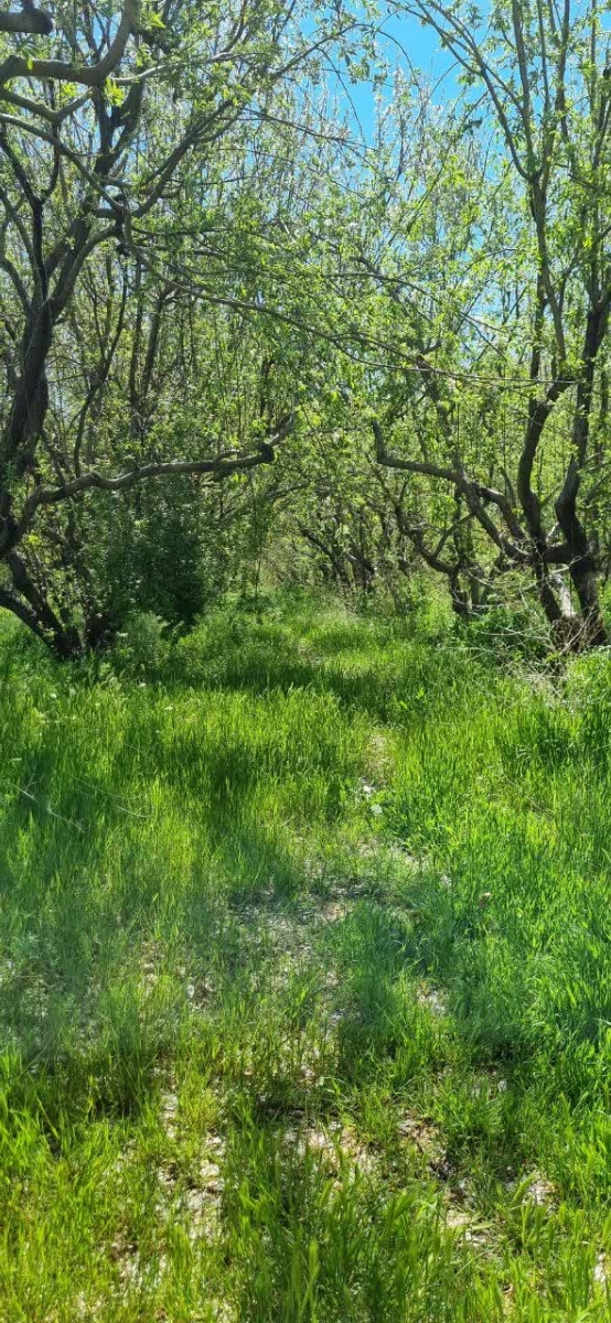 درود دوستان سیزده بدر کجا رفتین عکس بفرستین درود دوستان سیزده بدر کجا رفتین عکس بفرستین