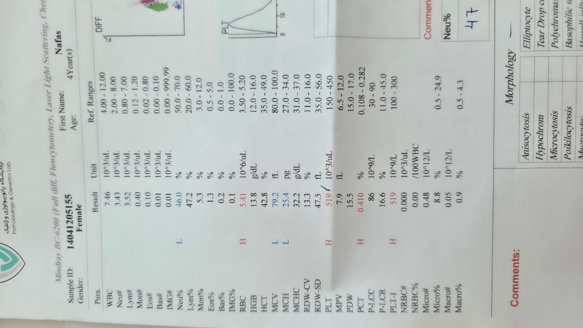 برگه ازمایش کودک ۴ ساله برگه ازمایش کودک ۴ ساله