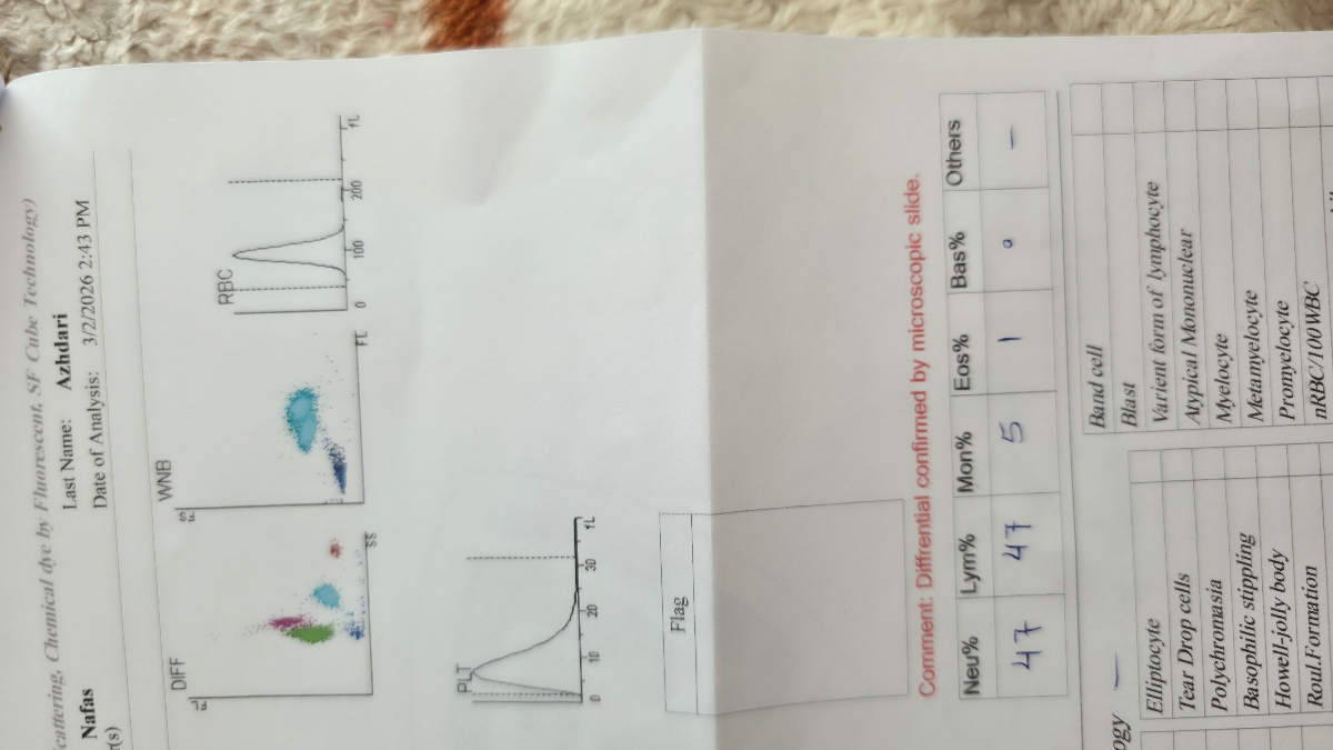 برگه ازمایش کودک ۴ ساله برگه ازمایش کودک ۴ ساله