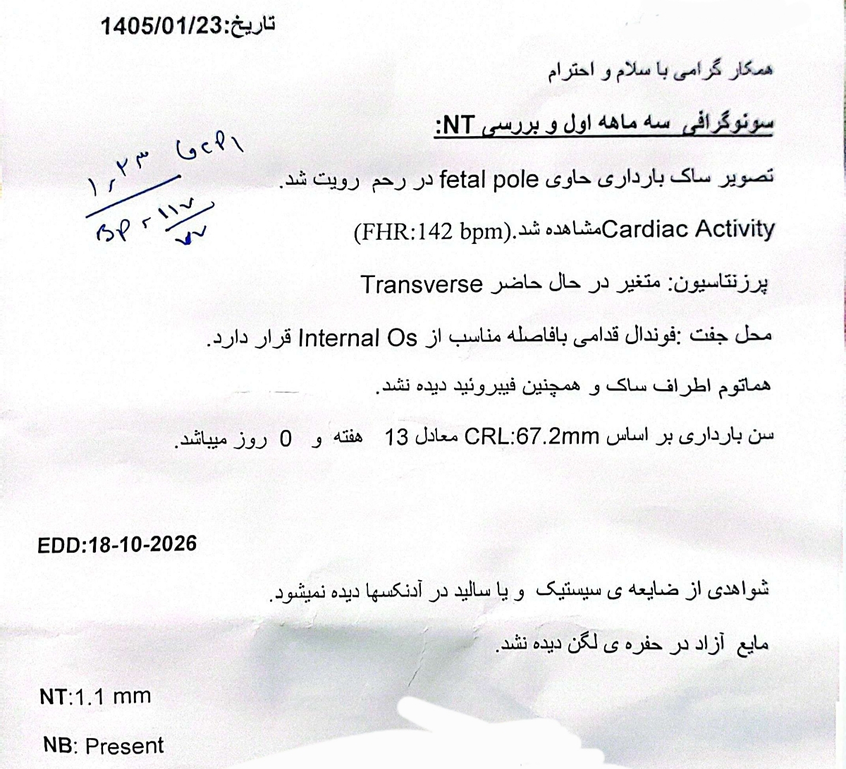 متخصصین جنسیت سنوگرافی nt یه لحظه بیایین😅 متخصصین جنسیت سنوگرافی nt یه لحظه بیایین😅