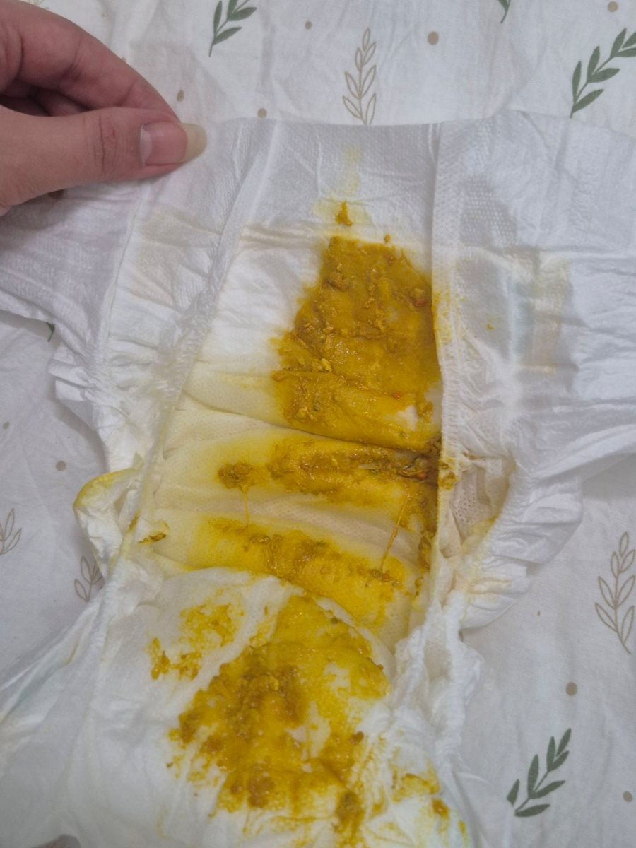مدفوع دیشب مدفوع دیشب