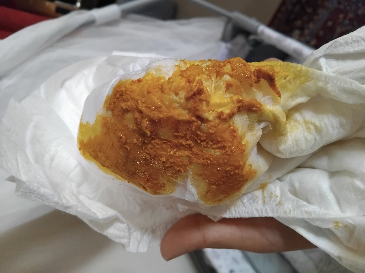 مدفوع صبح امروز مدفوع صبح امروز
