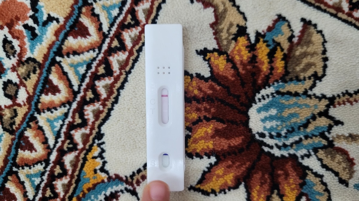 متخصصان بی بی چک و بارداری