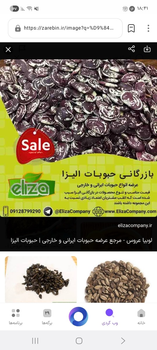 لوبیا عروس هم بهش میگن