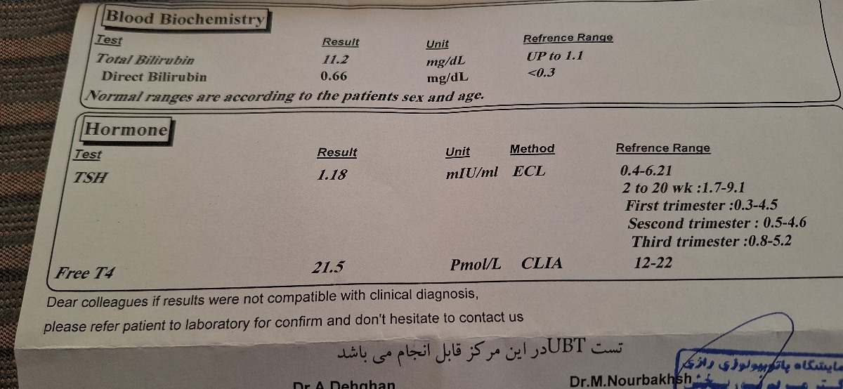 ازمایش زردی یکشنبه داده ازمایش زردی یکشنبه داده
