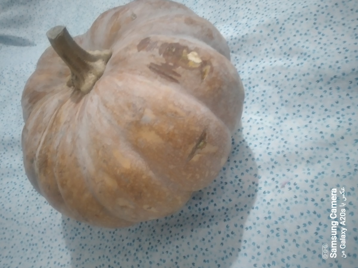 همینه درسته