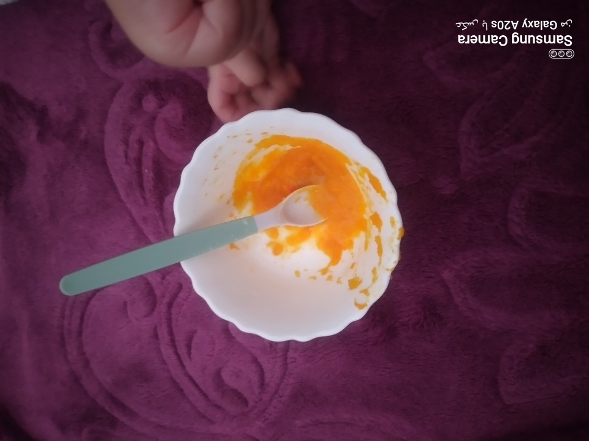 ناهار پوره کدو 