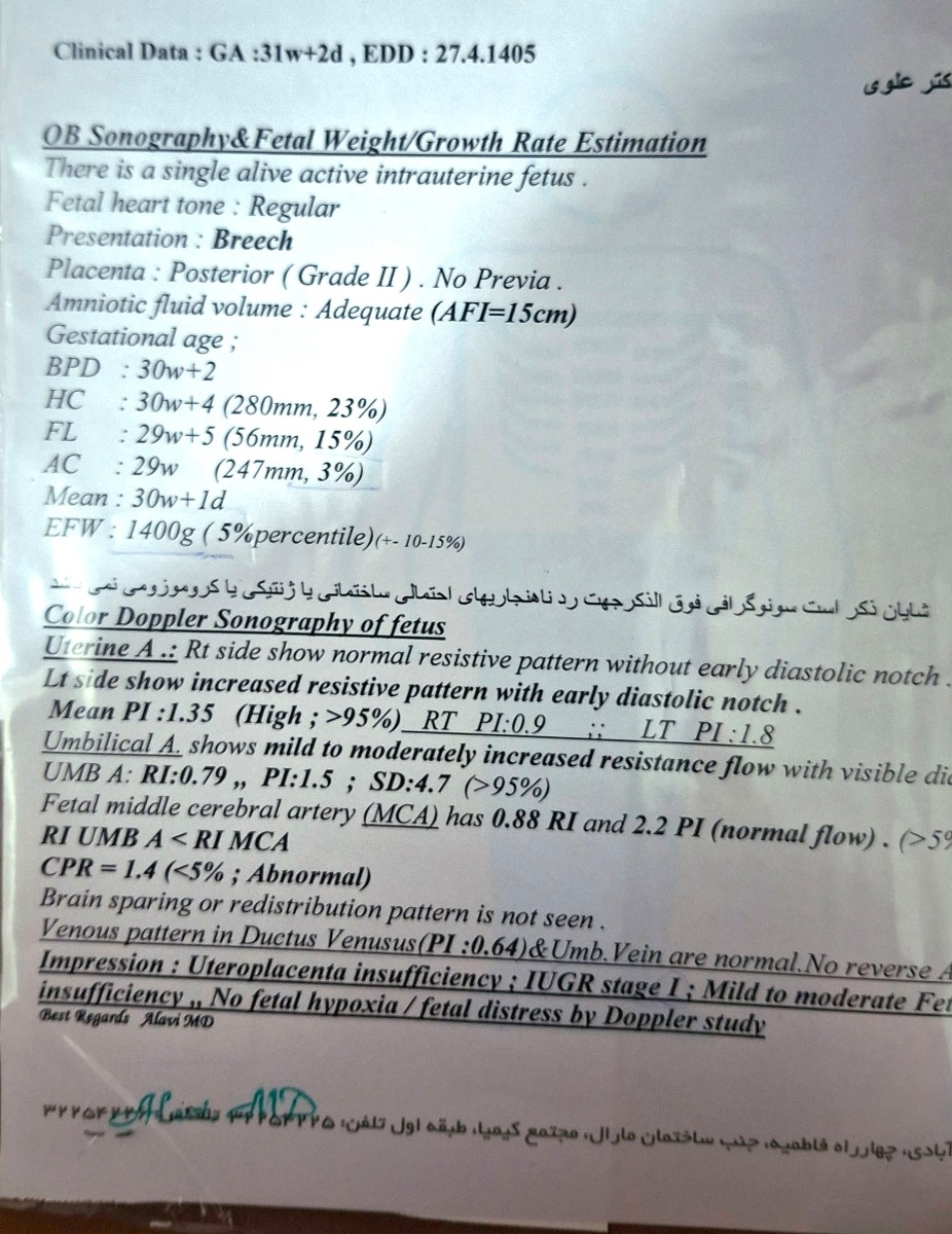 ۳۱ هفته