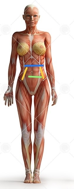 خانم دکتر عزیز این نواحی خانم دکتر عزیز این نواحی