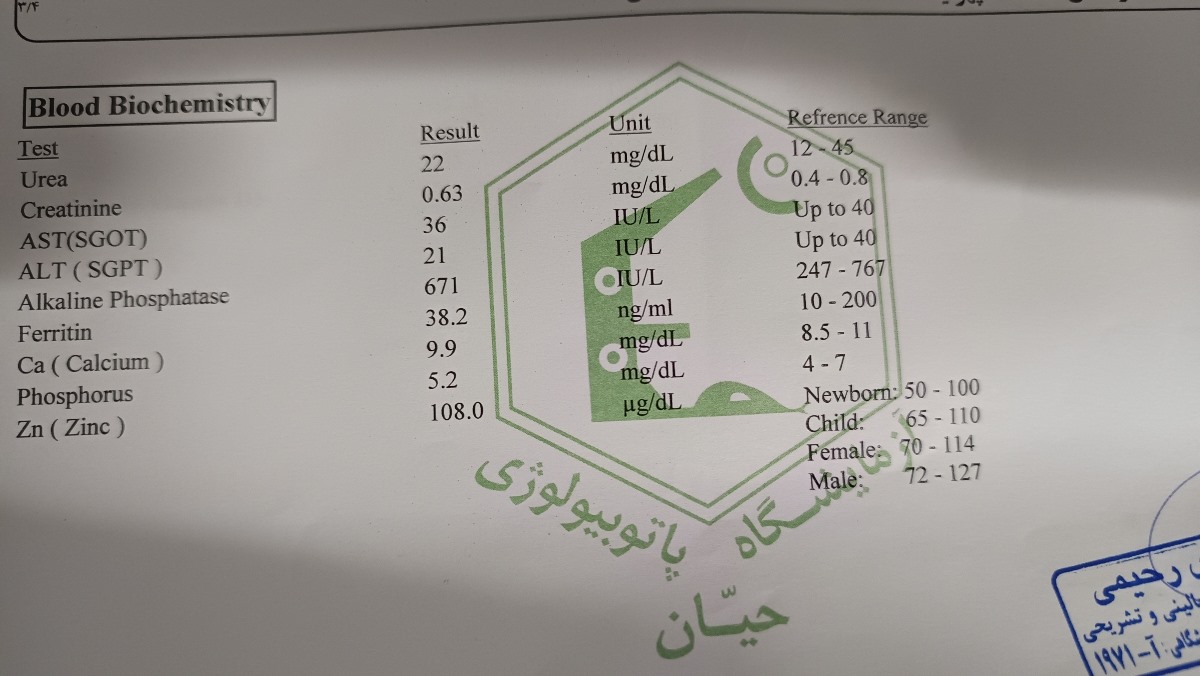 تفسیر ازمایش دخترم و کمبود ویتامین