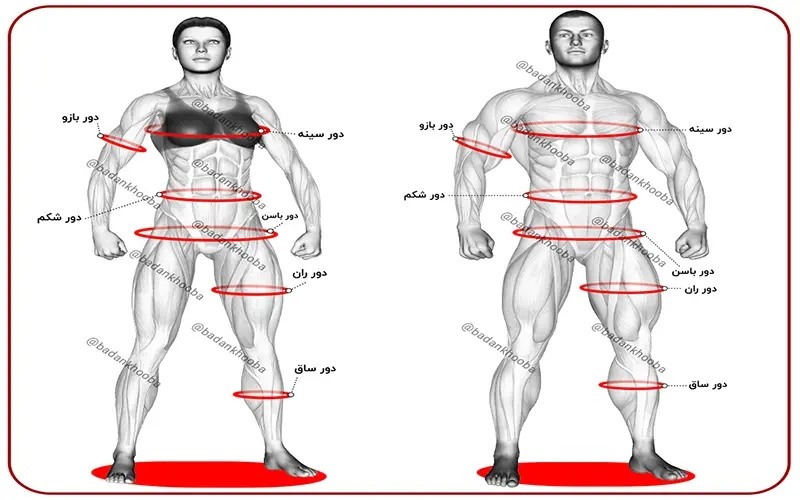 دخترا بیایید رژیم 💪🥦🥬🍏🥕 دخترا بیایید رژیم 💪🥦🥬🍏🥕