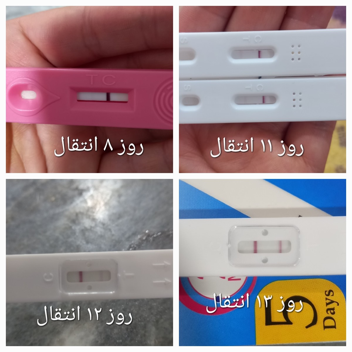 مثبت بودن آزمایش بتا روز ۱۴ انتقال جنین