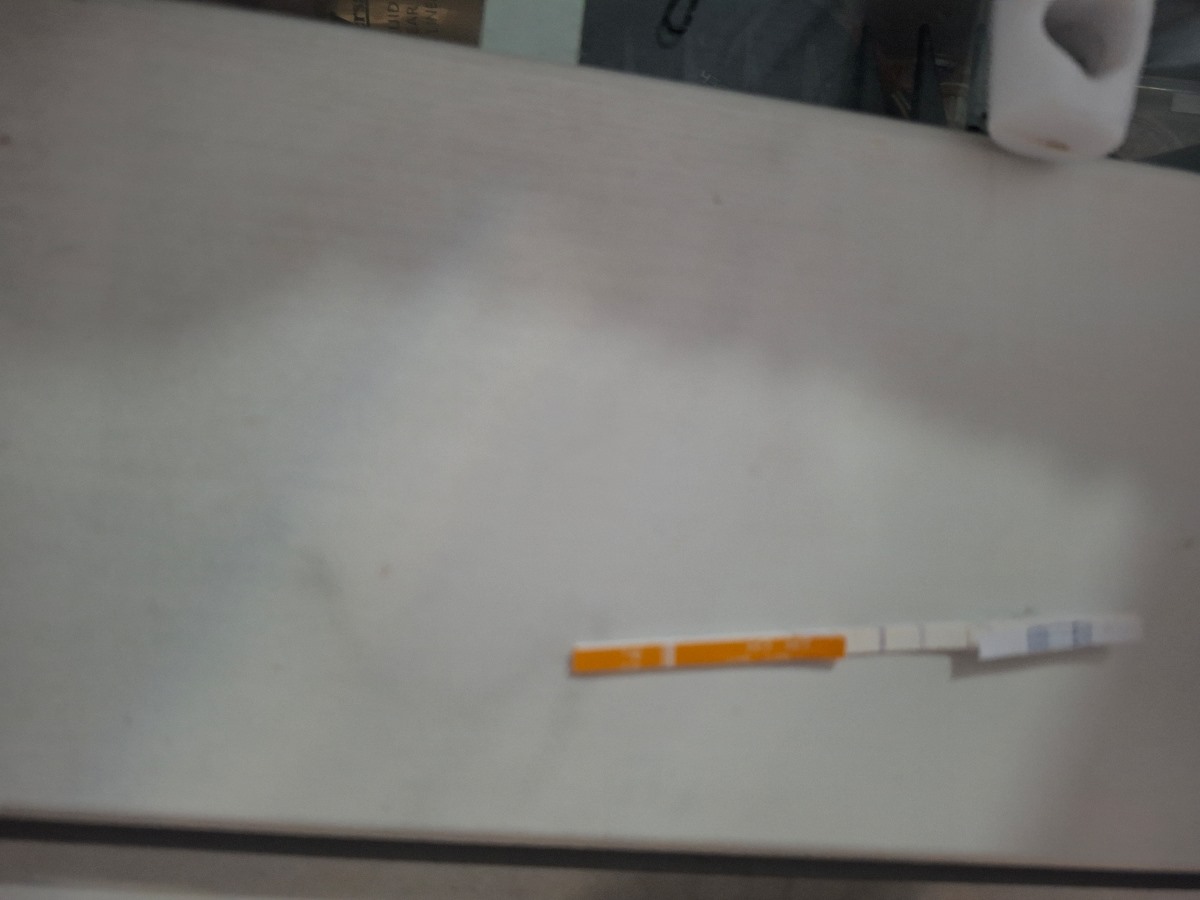 روز ۱۶