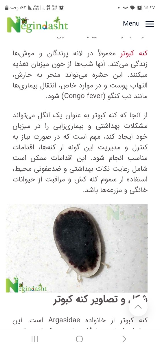 به بخش زایمان خوش آمدید