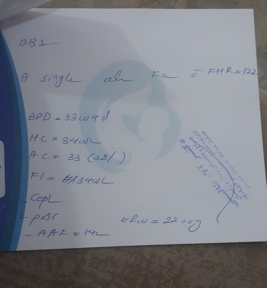 وزن جنین از هفته سی تا سی و چهار