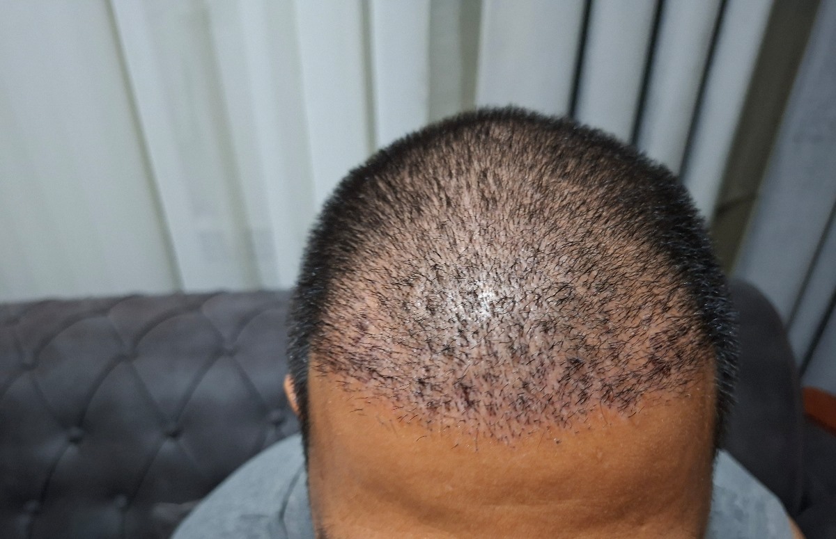 اینجا تازه کاشت کرده بود اینجا تازه کاشت کرده بود