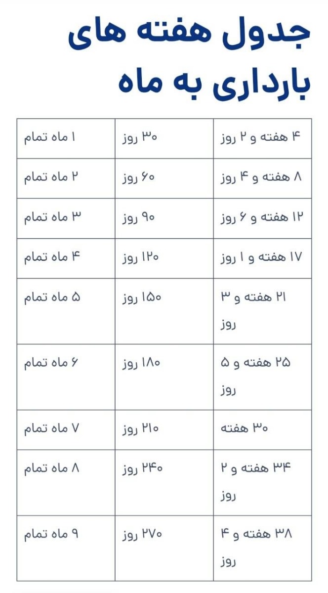 من الان 16 هفته هستم دقیق میشه چند ماه
