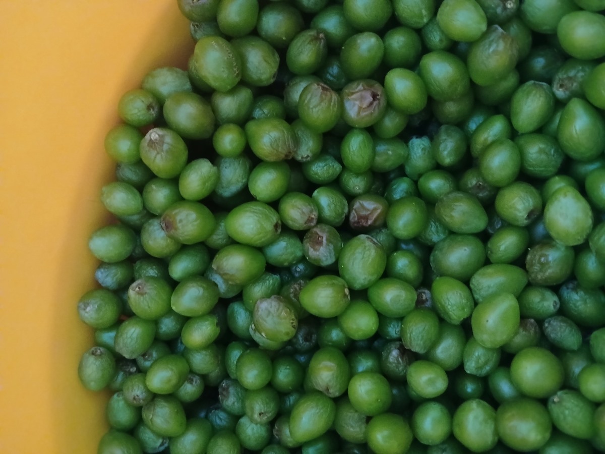 بعد از شستن و خشک شدن اینطوری شدن بعد از شستن و خشک شدن اینطوری شدن