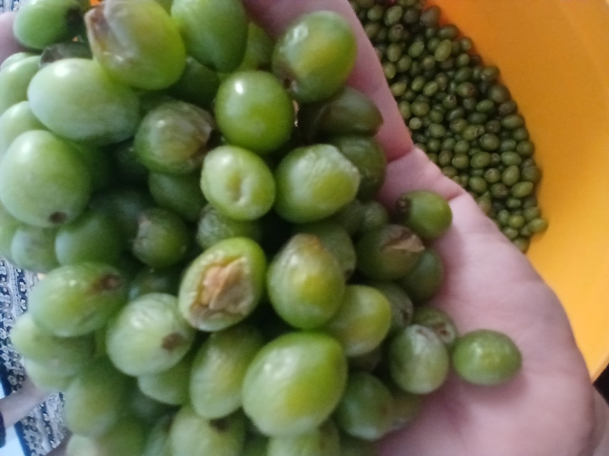 چجوری آب عوره درست کنم؟؟؟ چجوری آب عوره درست کنم؟؟؟