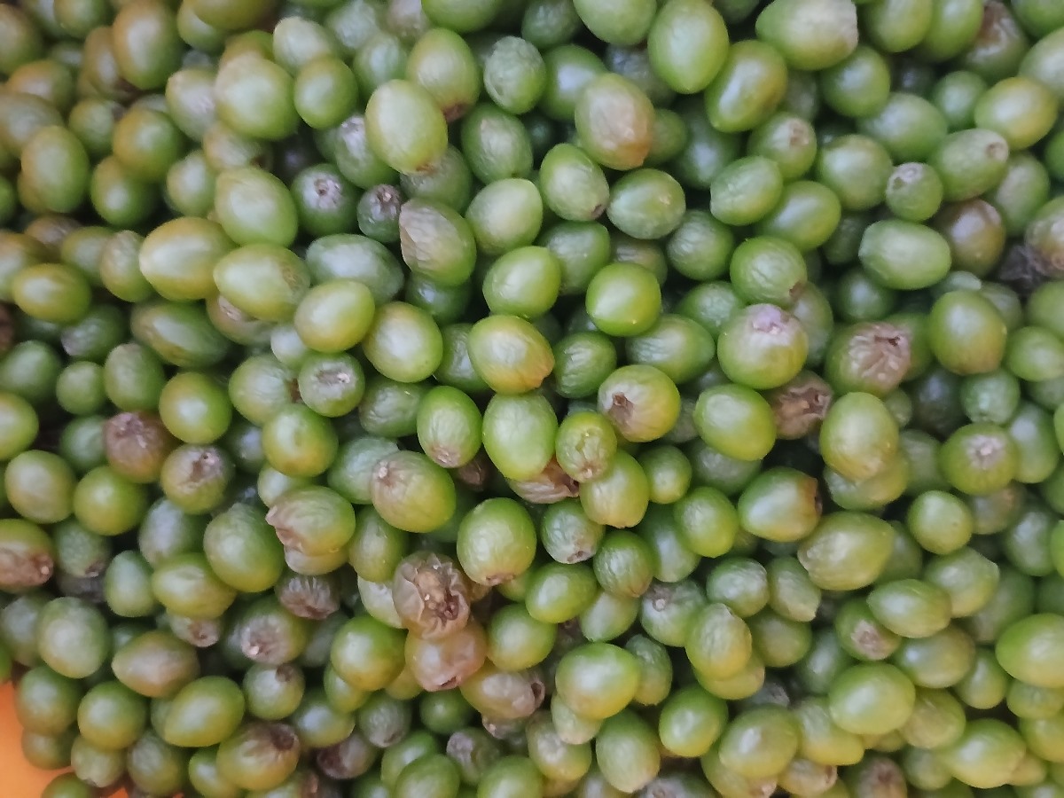چجوری آب عوره درست کنم؟؟؟ چجوری آب عوره درست کنم؟؟؟