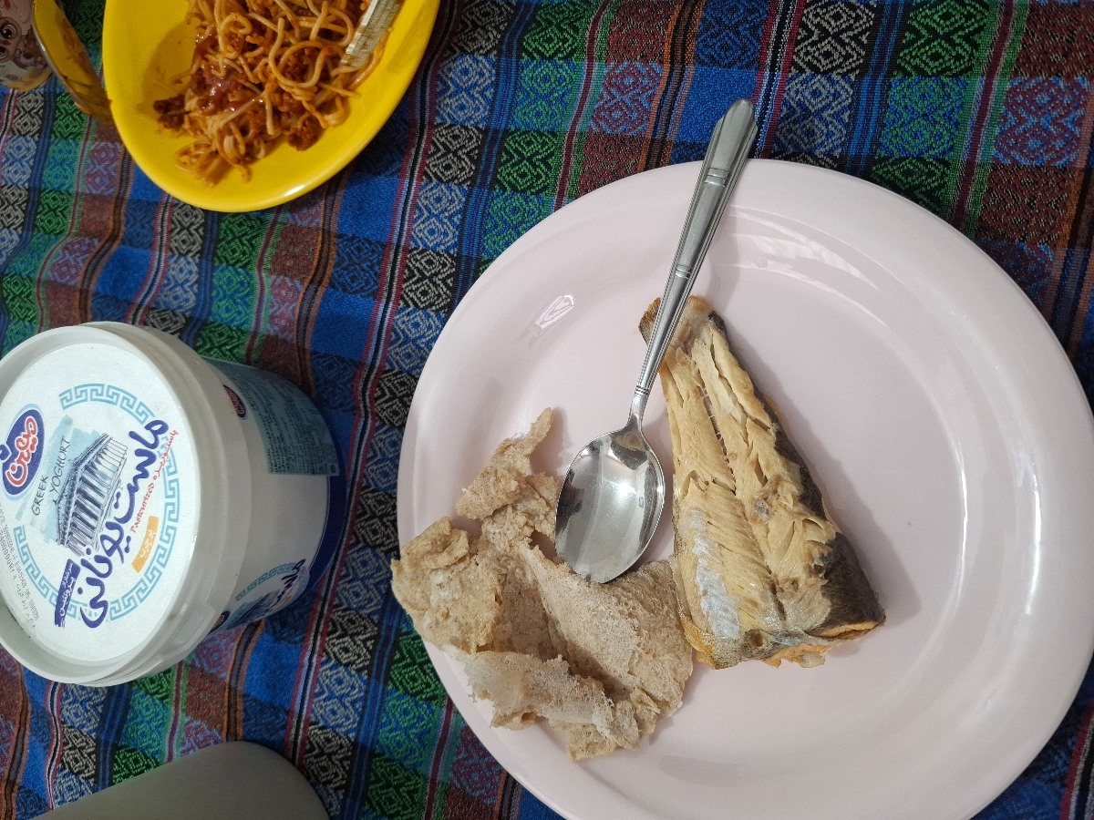 ناهار دیروز