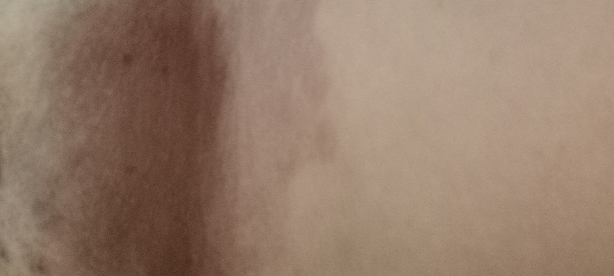 اینه ها و بشدت میخاره 😭
البته تو واقعیت پر رنگ تره ،تو عکس کمرنگ میفته اینه ها و بشدت میخاره 😭
البته تو واقعیت پر رنگ تره ،تو عکس کمرنگ میفته