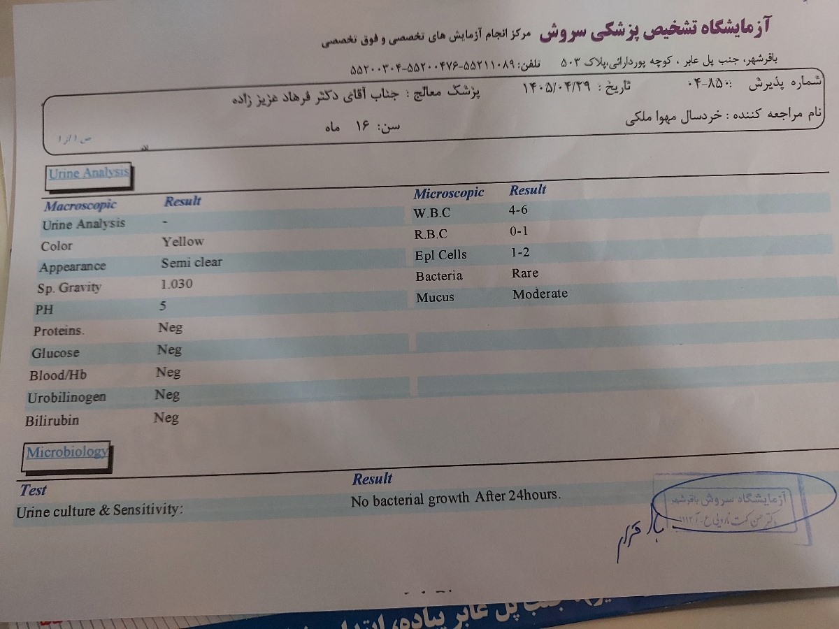 تفسیر آزمایش کودک شانزده ماهه