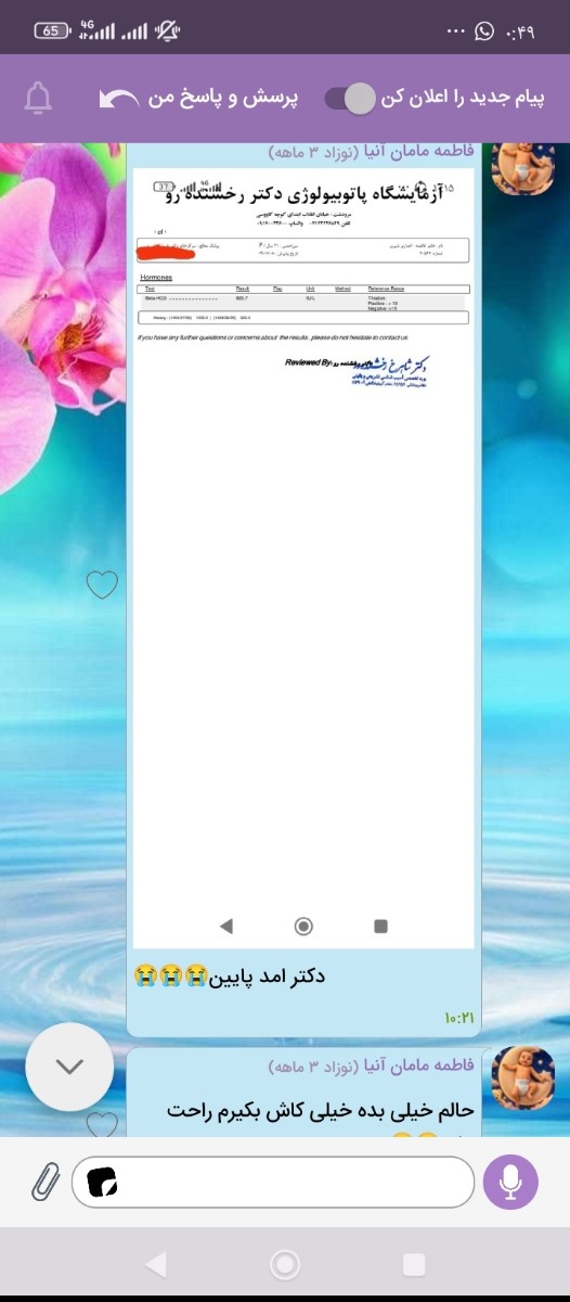 ببین ببین