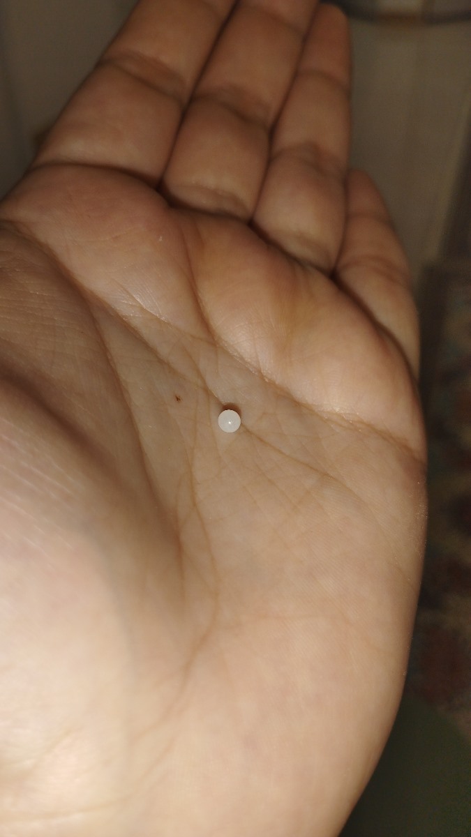 موجود عجیب در مینی واش