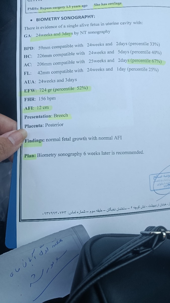 سنو رشد ۲۴ هفته