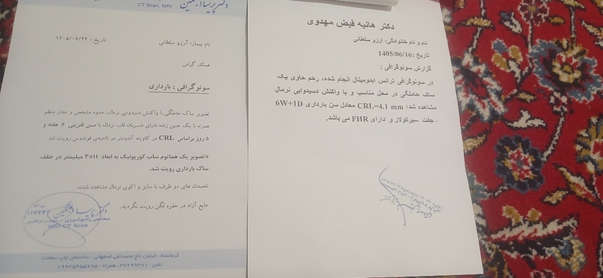 هفته چندم بارداری هستم