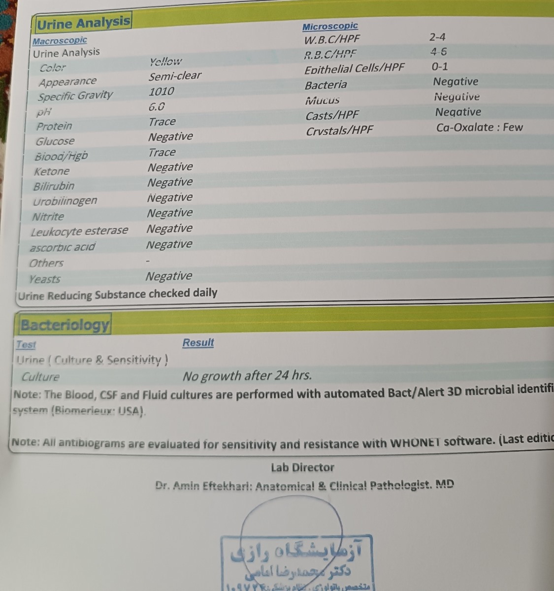 اینم جواب آزمایشش کع شما گفتید ببرمش سنوگرافی از کلیه و مجاری ادراری 