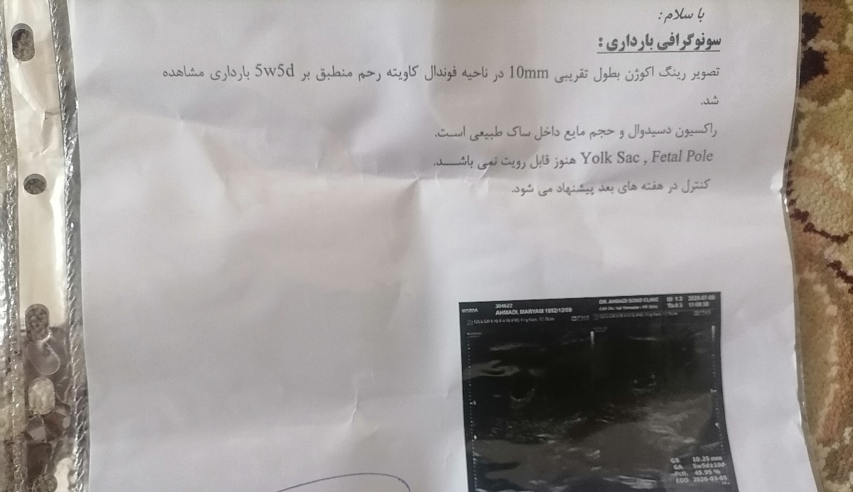تفسير سنو بارداری قلب جنین