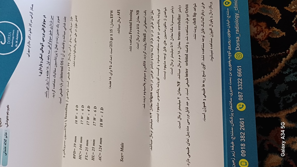 صفحه اول صفحه اول