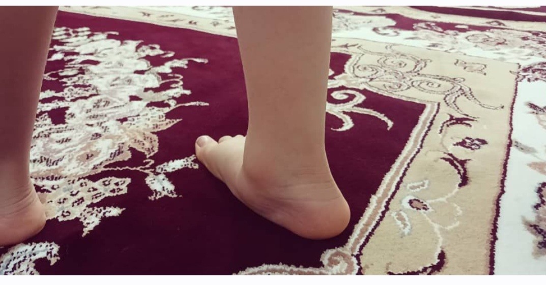ببین