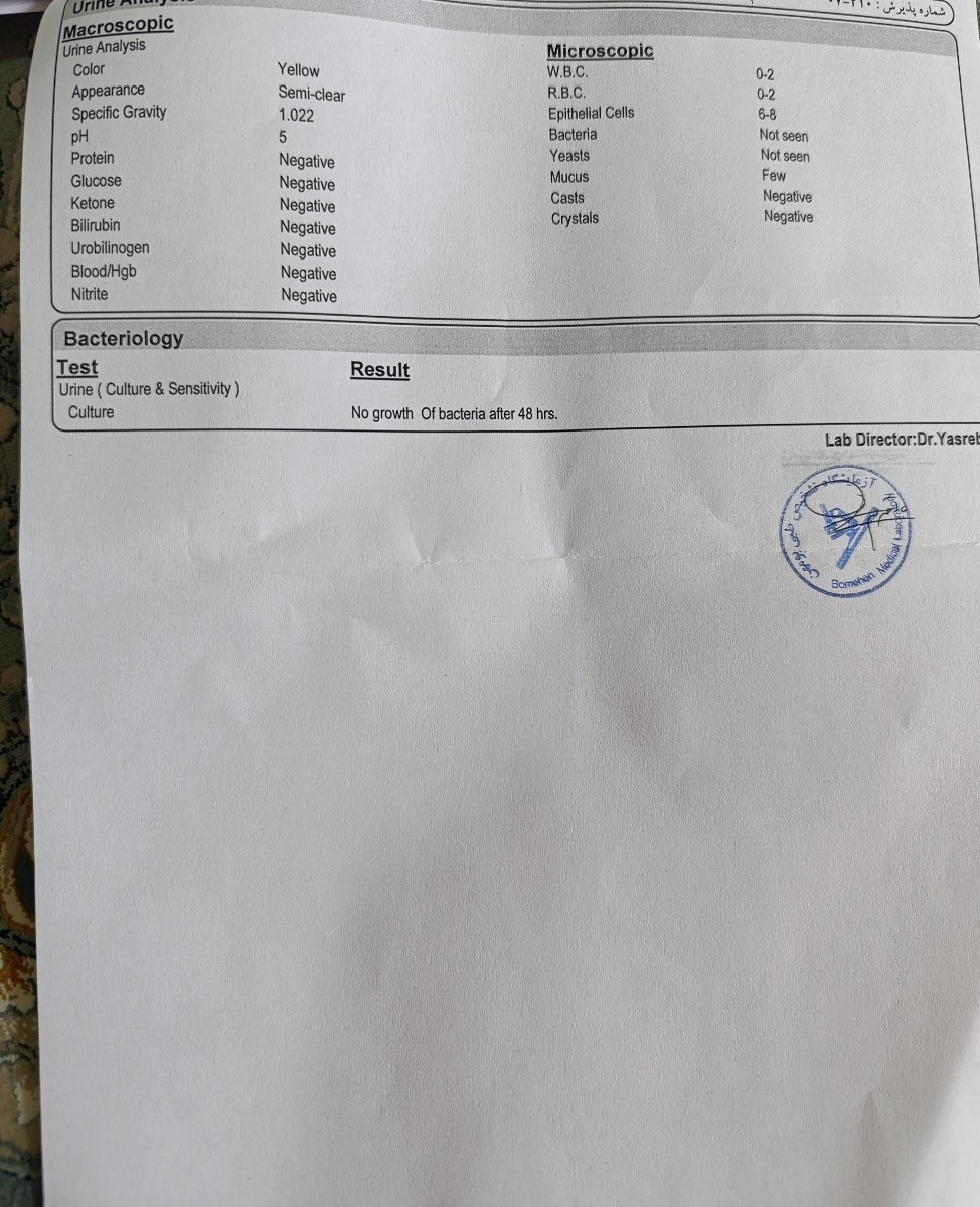 تفسیر آزمایش و بارداری